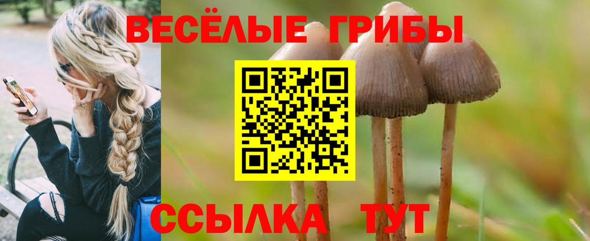 Галлюциногенные грибы прущие грибы Алатырь